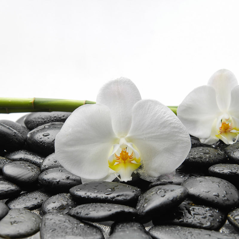 polished black pebbles