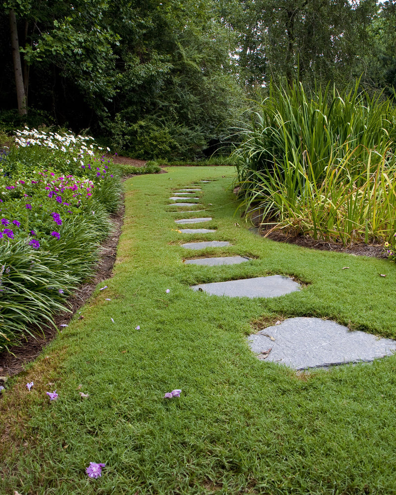irregular bluestone stepping stones